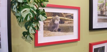 那須どうぶつ王国に投稿された画像（2025/6/21）