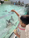 仙台うみの杜水族館に投稿された画像（2025/6/21）