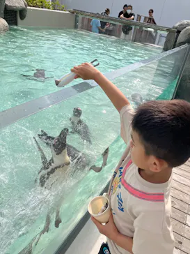 仙台うみの杜水族館に投稿された画像（2025/6/21）