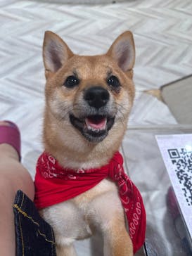 いぬカフェRio 池袋店に投稿された画像（2025/6/21）