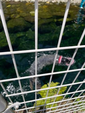 箱根園水族館に投稿された画像（2025/6/21）