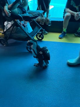 箱根園水族館に投稿された画像（2025/6/21）