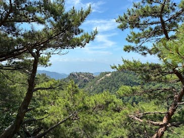 昇仙峡ロープウェイに投稿された画像（2025/6/21）