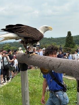 那須どうぶつ王国に投稿された画像（2025/6/21）
