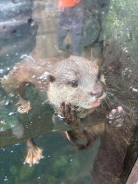 那須どうぶつ王国に投稿された画像（2025/6/21）