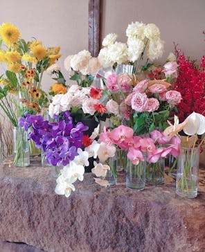 ビバスクエア京都に投稿された画像（2025/6/21）