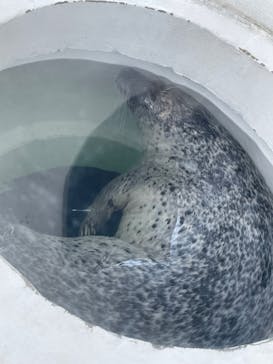 しながわ水族館に投稿された画像（2025/6/21）