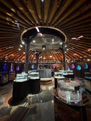 水中楽園アクアリウムに投稿された画像（2025/6/21）