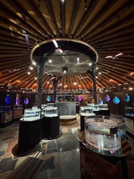 水中楽園アクアリウムに投稿された画像（2025/6/21）