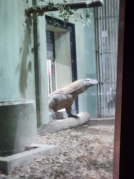 名古屋市東山動植物園に投稿された画像（2025/6/21）