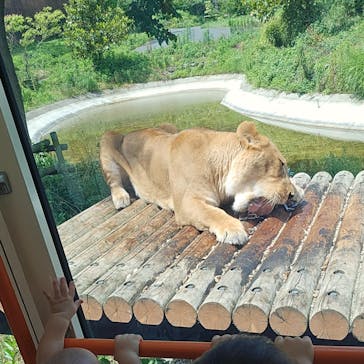 東京動物園協会_多摩動物公園に投稿された画像（2025/6/21）