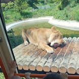 多摩動物公園に投稿された画像（2025/6/21）