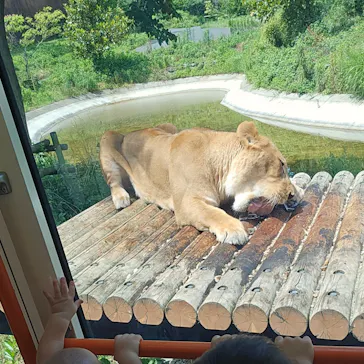 多摩動物公園に投稿された画像（2025/6/21）