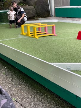 おさるランド＆アニタウン　日光さる軍団劇場に投稿された画像（2025/6/21）