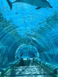 太地町立くじらの博物館に投稿された画像（2025/6/21）