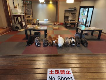 おさるランド＆アニタウン　日光さる軍団劇場に投稿された画像（2025/6/21）