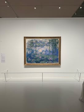 モネ 睡蓮のとき（豊田会場）に投稿された画像（2025/6/21）