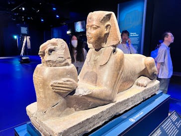 ACN ラムセス大王展 ファラオたちの黄金に投稿された画像（2025/6/21）