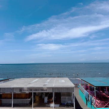 新江ノ島水族館に投稿された画像（2025/6/21）