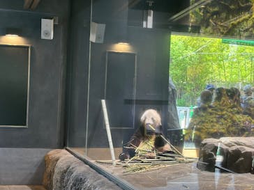 恩賜上野動物園に投稿された画像（2025/6/21）