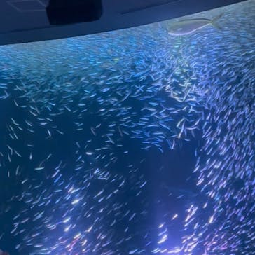 名古屋港水族館に投稿された画像（2025/6/21）