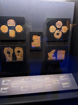 ACN ラムセス大王展 ファラオたちの黄金に投稿された画像（2025/6/21）