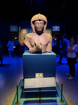ACN ラムセス大王展 ファラオたちの黄金に投稿された画像（2025/6/21）