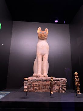 ACN ラムセス大王展 ファラオたちの黄金に投稿された画像（2025/6/21）