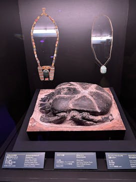ACN ラムセス大王展 ファラオたちの黄金に投稿された画像（2025/6/21）