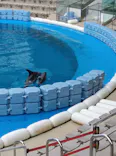 仙台うみの杜水族館に投稿された画像（2025/6/22）