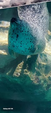 アクアワールド茨城県大洗水族館に投稿された画像（2025/6/21）