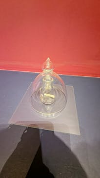 正倉院 THE SHOW －感じる。いま、ここにある奇跡－に投稿された画像（2025/6/21）