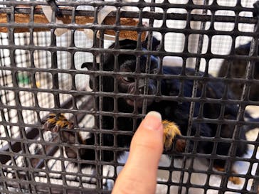 アニタッチみなとみらいに投稿された画像（2025/6/21）