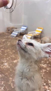 アニタッチみなとみらいに投稿された画像（2025/6/21）