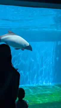 仙台うみの杜水族館に投稿された画像（2025/6/22）