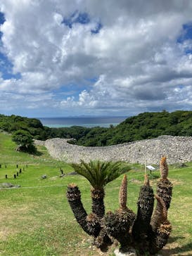今帰仁城跡に投稿された画像（2025/6/22）
