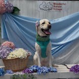 わんダフルネイチャーヴィレッジに投稿された画像（2025/6/22）