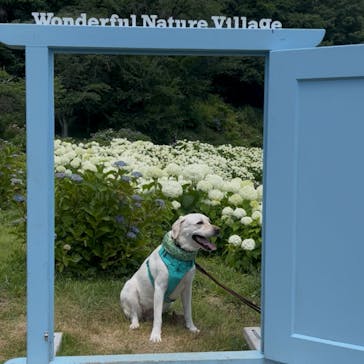 わんダフルネイチャーヴィレッジに投稿された画像（2025/6/22）