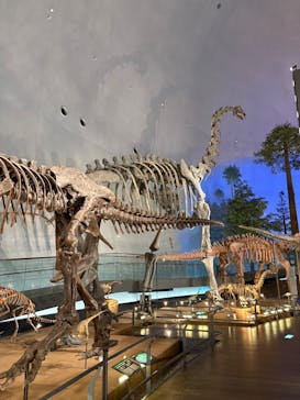 福井県立恐竜博物館に投稿された画像（2025/6/22）