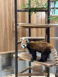 名古屋市東山動植物園に投稿された画像（2025/6/22）