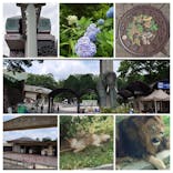 多摩動物公園に投稿された画像（2025/6/22）