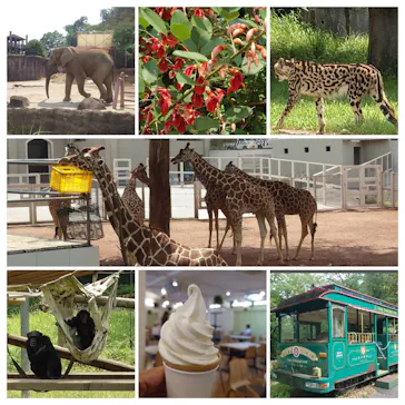 多摩動物公園に投稿された画像（2025/6/22）