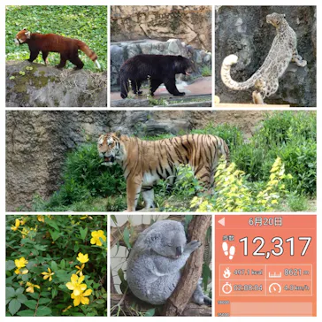 多摩動物公園に投稿された画像（2025/6/22）