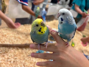 いきもの探検隊湘南に投稿された画像（2025/6/22）