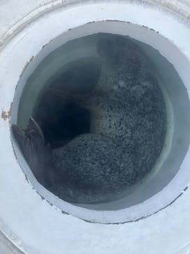 しながわ水族館に投稿された画像（2025/6/22）