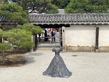 元離宮二条城に投稿された画像（2025/6/22）