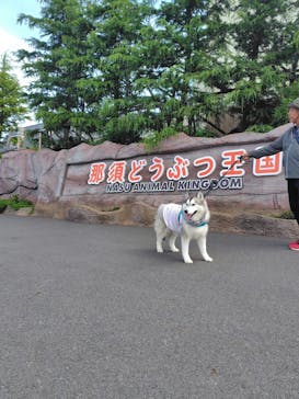 那須どうぶつ王国に投稿された画像（2025/6/22）