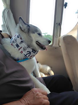 那須どうぶつ王国に投稿された画像（2025/6/22）