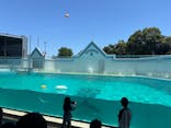 しながわ水族館に投稿された画像（2025/6/22）