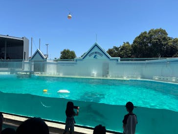 しながわ水族館に投稿された画像（2025/6/22）